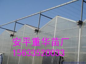 創(chuàng)新驅(qū)動下的新型膜材料制造 技術(shù)突破與應用前景